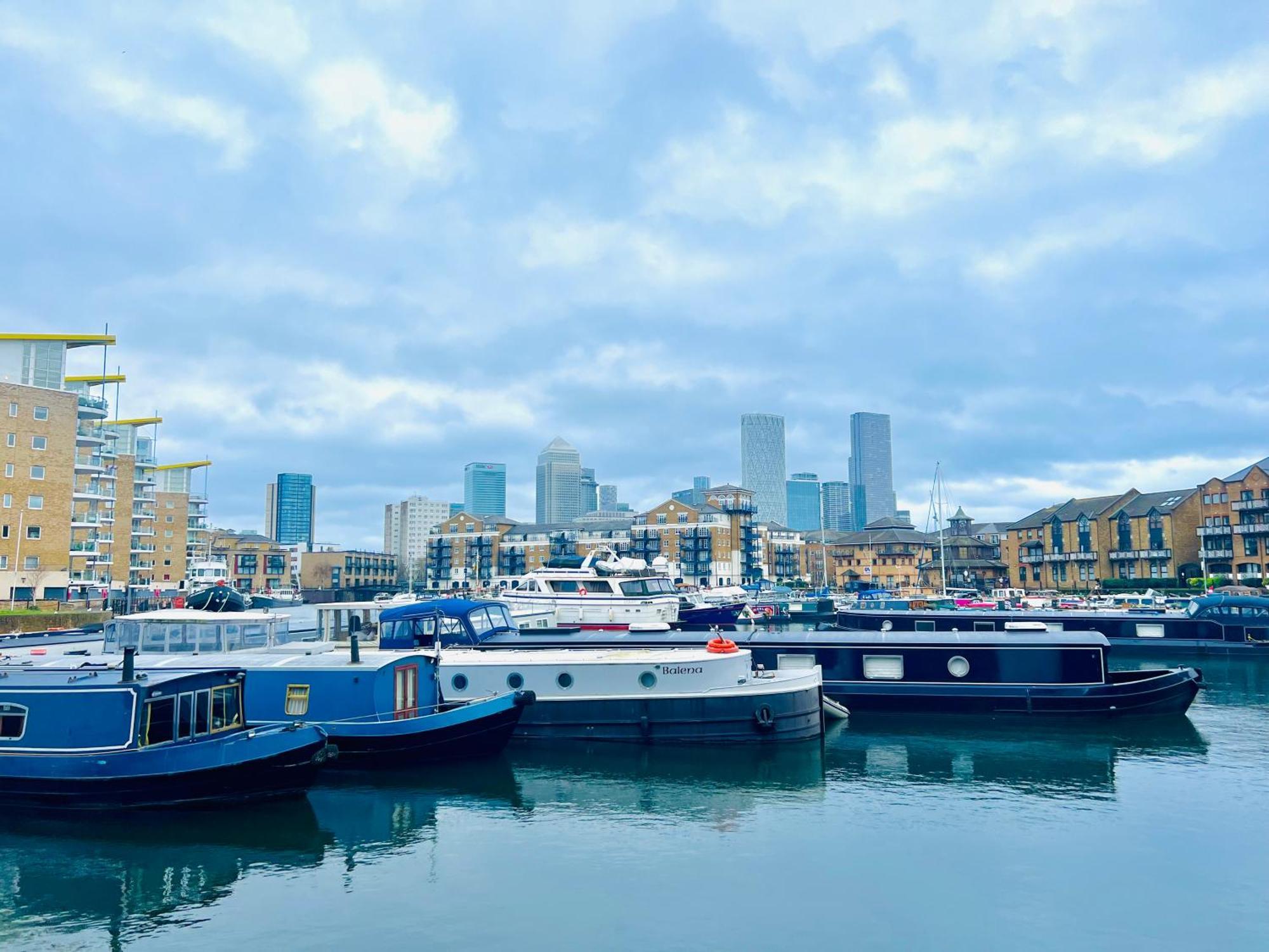 Modern Flat In Canary Wharf Appartamento *